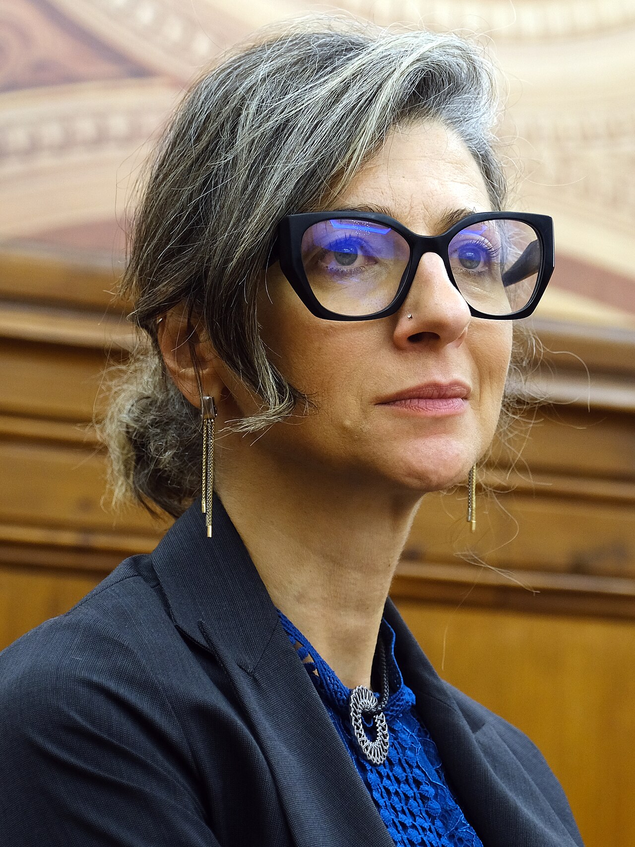 EJP support to Francesca Albanese