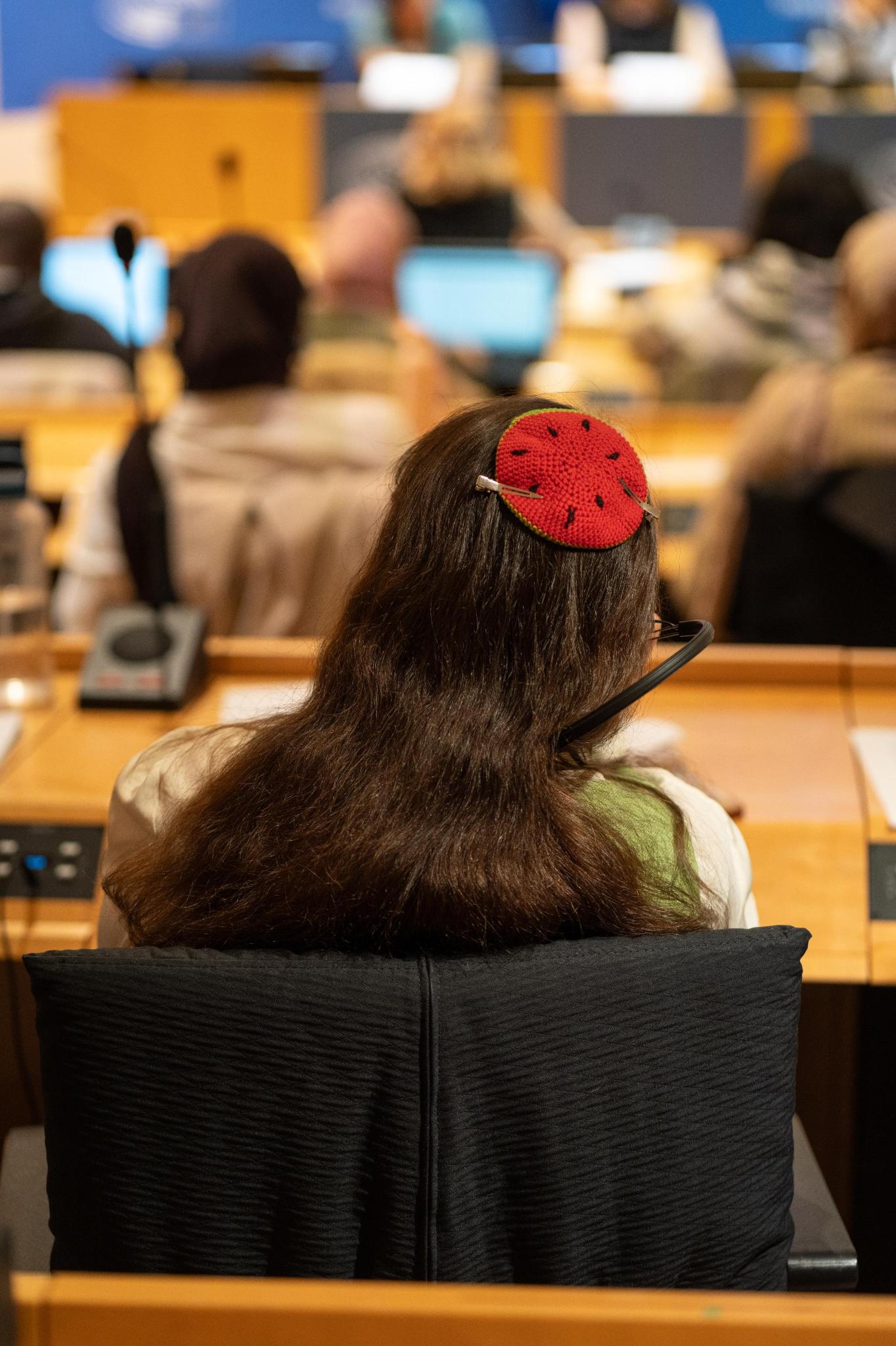 ‘They are not real Jews’ – Katharina von Schnurbein
